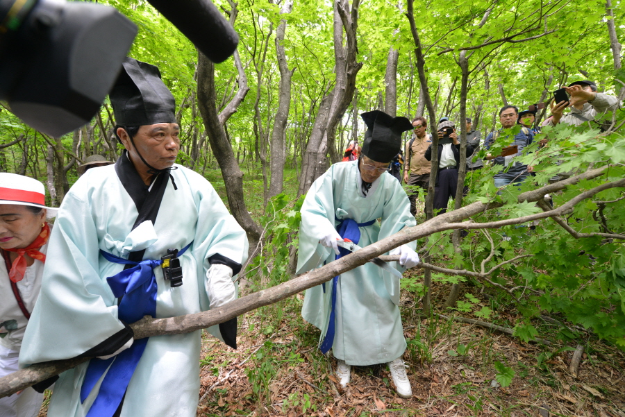 [크기변환]DSC_4698.JPG